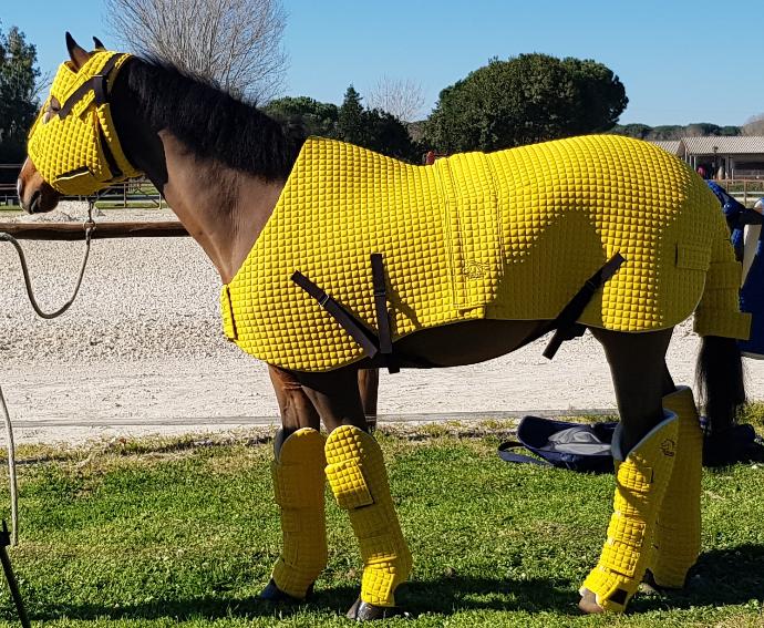 IronHorse Protective Armour Jelka